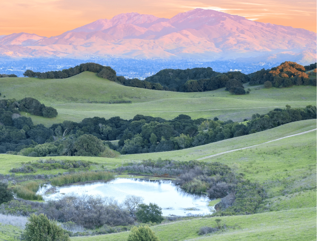 Contra Costa CA landscape