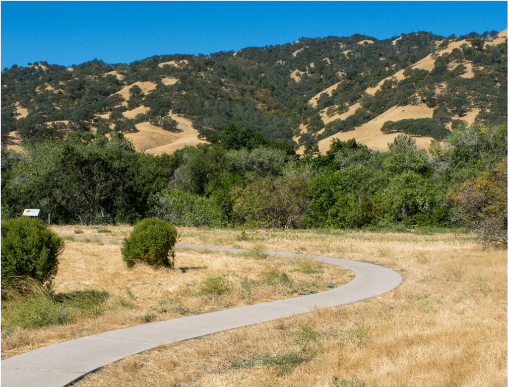 Solana County CA landscape
